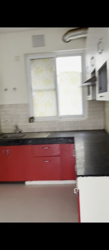 Kitchen in 3 BHK Builder Floor at BPTP Parkland Pride, Sector 77 – for Rent