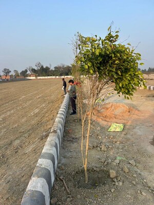 Plot Area in  Plot at Krishna Iscon Valley, Gosainganj – for Sale