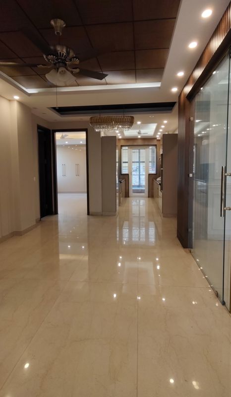 3 BHK + Servant Room 240 Sq.Yd. Builder Floor in SS Mayfield Gardens