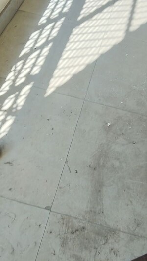 Furnished Amenities in 3 BHK Builder Floor at Shakti Khand Iii – for Rent