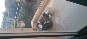 1.5 BHK Independent House For Rent in Sarita Vihar