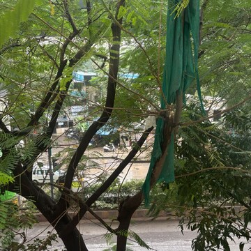 3 BHK Apartment – Garden View at Mulund West - for Rent