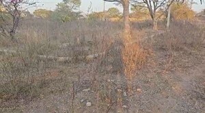 Plot Area in  Plot at Medchal – for Sale