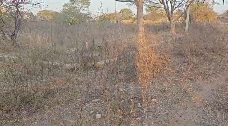 undefined, medchal  179 Sq.Yd. Plot In Medchal Hyderabad 9911246