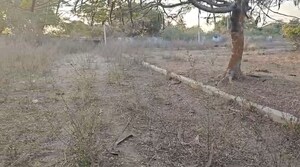 Plot Area in  Plot at Medchal – for Sale