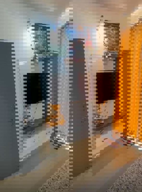 2 BHK + Pooja Room 605 Sq.Ft. Apartment in Suncity Avenue 102