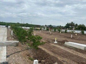  Plot For Sale in Trimbak