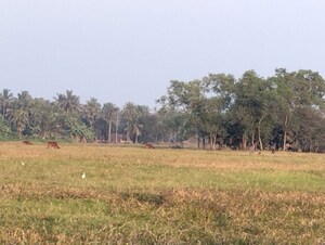  Plot For Sale in Harinavi