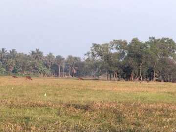  Plot For Sale in Harinavi