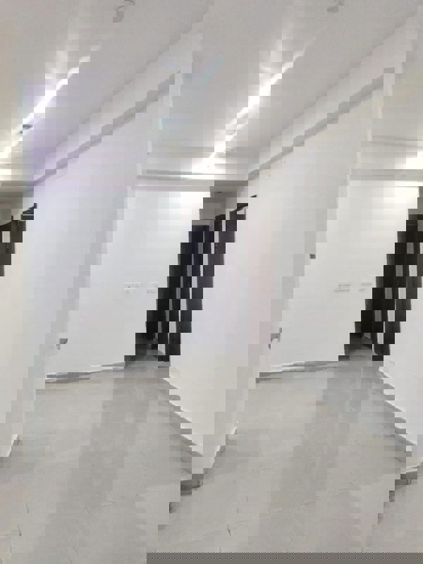 2 BHK Apartment For Rent in Panchsheel Greens II