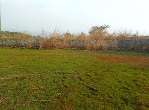 Plot Area in  Plot at Chanje – for Sale