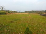 1089 Sq.Ft. Plot in Chanje