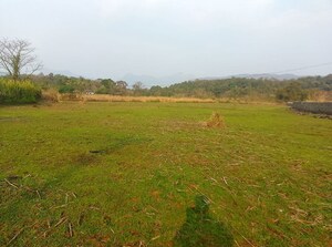  Plot For Sale in Chanje