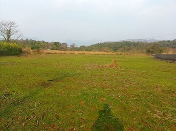  Plot For Sale in Chanje