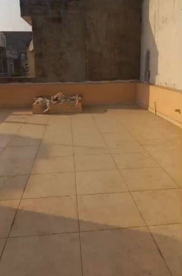 2 BHK Independent House – Exterior View View at Dera Bassi - for Sale