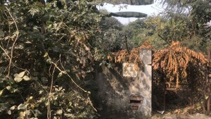  Plot For Sale in Alpha Ii Greater Noida