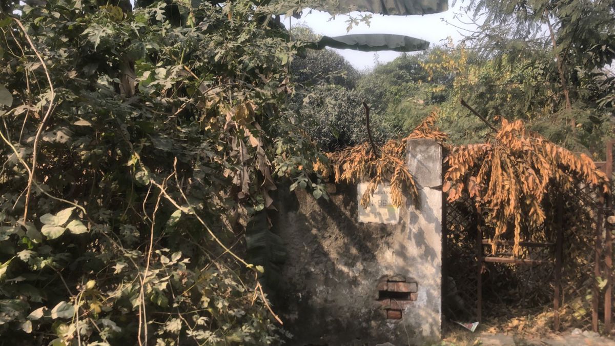 Plot For Sale in Alpha II Greater Noida