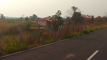 Plot Area in  Plot at Pali – for Sale