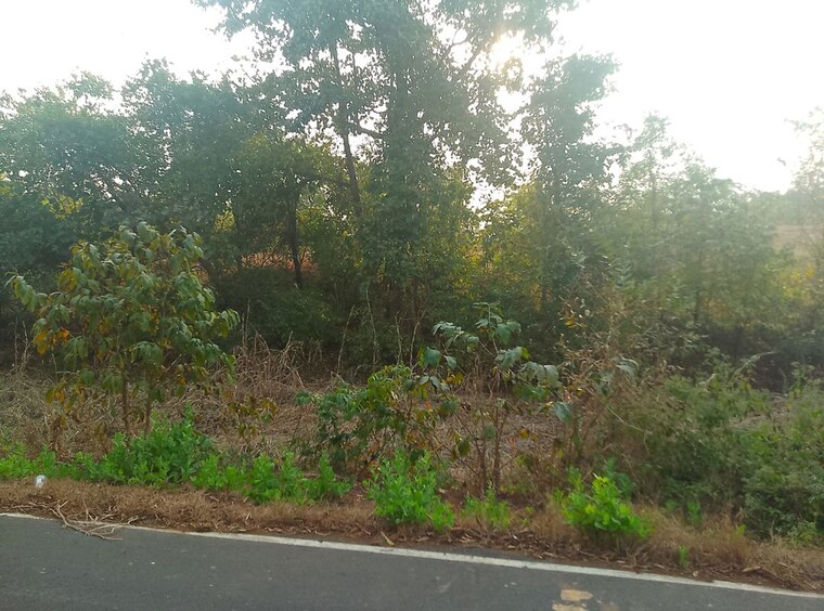 undefined, pali  1089 Sq.Ft. Plot In Pali Navi Mumbai 9972423