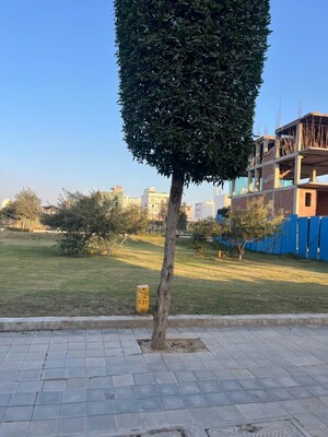  Plot – Exterior View View at Central Park Flower Valley Mikasa Plots, Sohna Sector 33 - for Sale