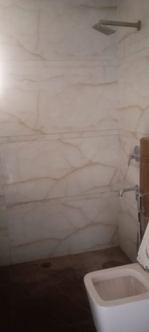 Bathroom in 5 BHK Apartment at Dhakoli – for Sale