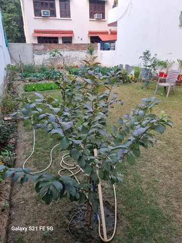 3 BHK Builder Floor – Garden View at Kohli One Malibu Town, Sector 47 - for Rent