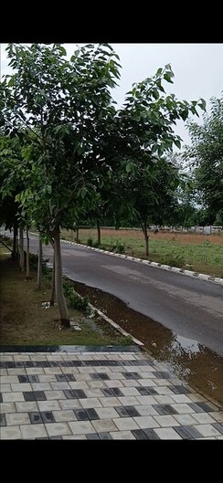 Plot For Sale in Rambha Corona Greens