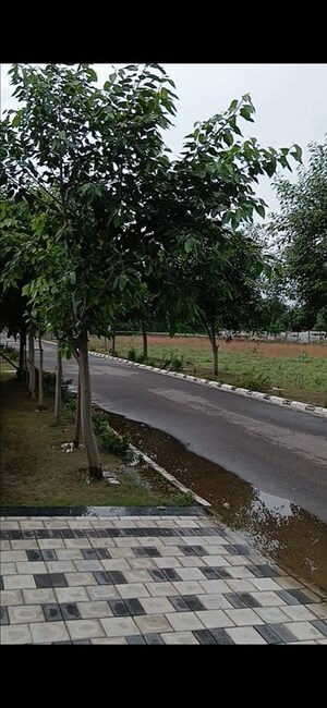  Plot For Sale in Rambha Corona Greens, Sohna Sector 5