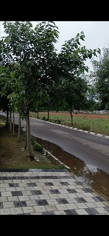  Plot For Sale in Rambha Corona Greens, Sohna Sector 5