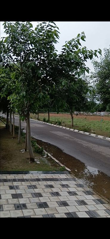 Plot For Sale in Rambha Corona Greens