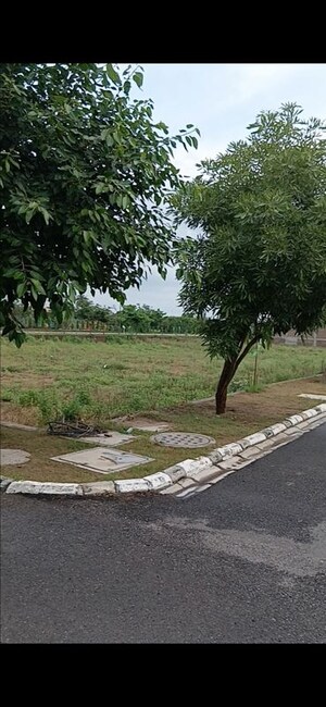 Plot Area in  Plot at Rambha Corona Greens, Sohna Sector 5 – for Sale