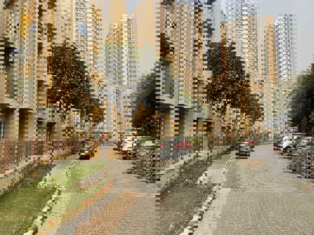 3 BHK 1565 Sq.Ft. Apartment in Paras Tierea