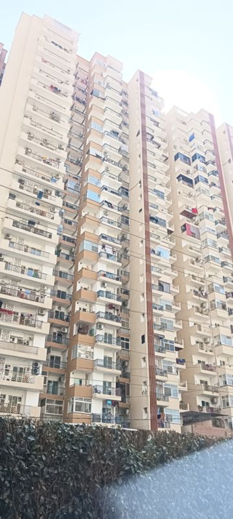 Cover Image, noida central 2 Bedroom 970 Sq.Ft. Apartment In Noida Central Noida 9972981