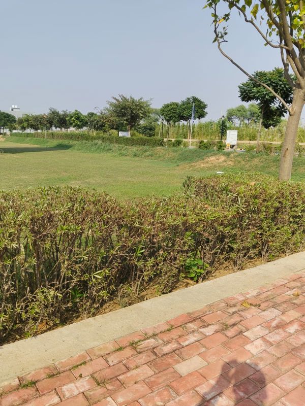 Plot For Sale in Omaxe City - Omaxe Heights