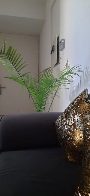  2 BHK Apartment at Aerocity – for Rent