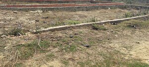 Plot Area in  Plot at Motiram Adda – for Sale