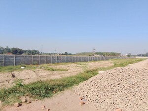  Land For Sale in Bhago Majra Road