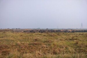  Plot For Sale in Manik Nagar