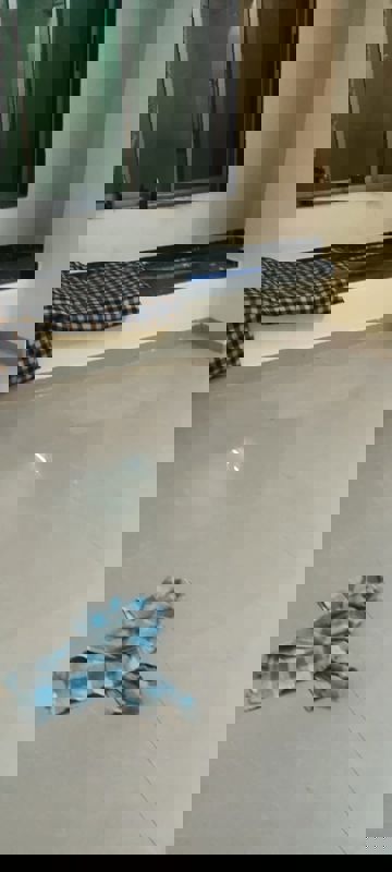 1 BHK + Extra Room 350 Sq.Ft. Apartment in Gandharv Darshan