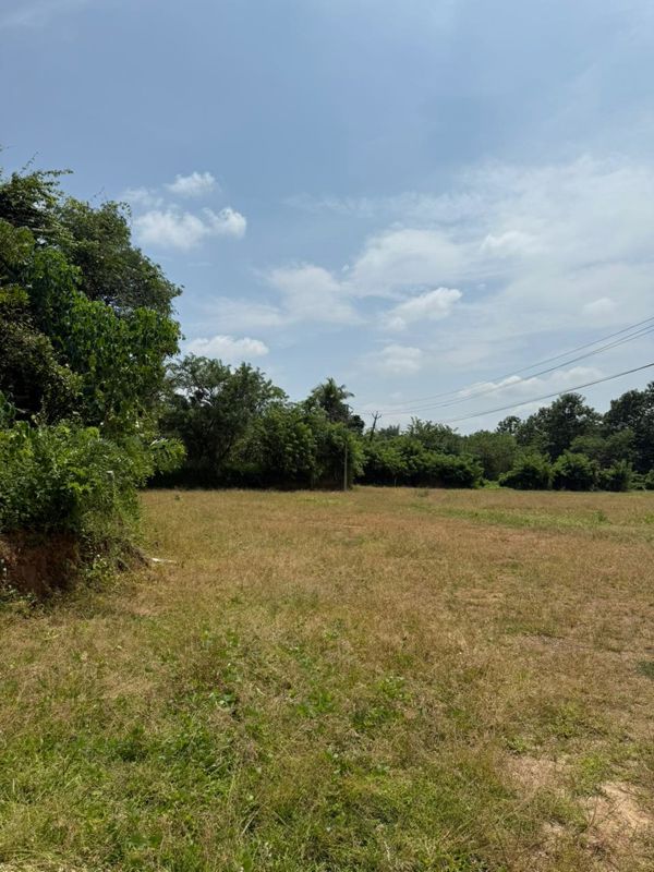 Plot For Sale in Olavakkode