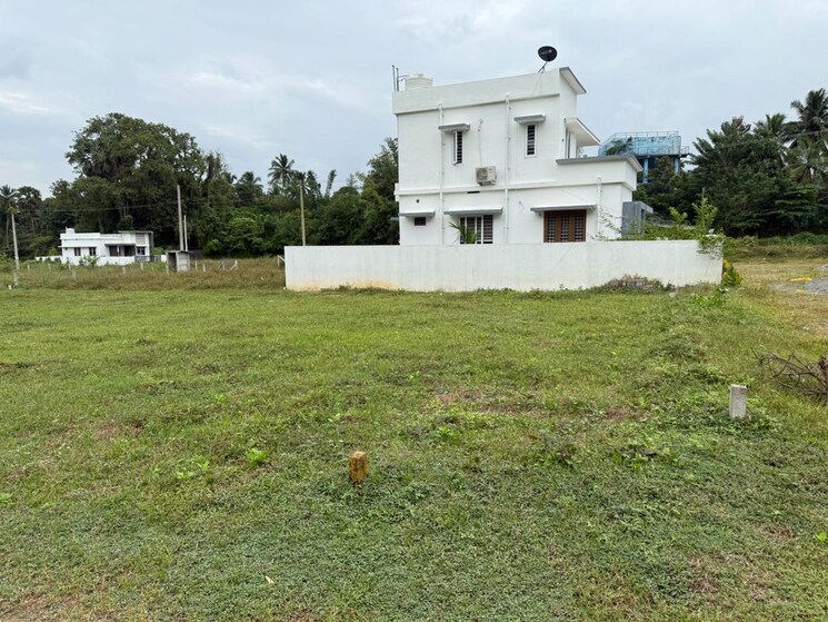 Garden, olavakkode  2184 Sq.Ft. Plot In Olavakkode Palakkad 9975548
