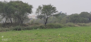 Plot Area in  Plot at Jubilee Hill County, Jubilee Hills – for Sale