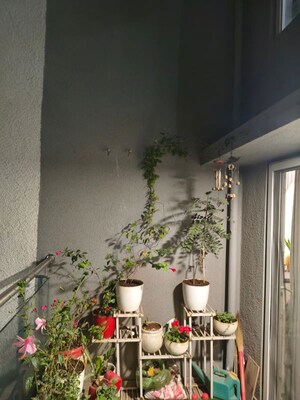 Balcony in 3 BHK Apartment at Florida River Bank, Mundhwa – for Sale