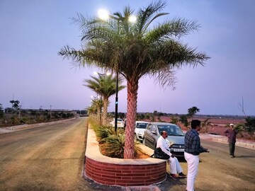 Plot Area in  Plot at Sector 12 Panchkula – for Sale