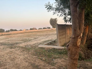 Plot Area in  Plot at Gwalior Road – for Sale