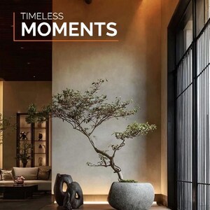 Furnished Amenities in 3 BHK Apartment at Sector 79b – for Sale