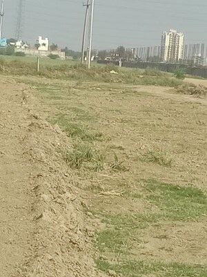 Plot Area in  Plot at Sector 25 Yamuna Expressway – for Sale