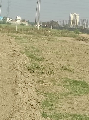 Plot Area in  Plot at Sector 25 Yamuna Expressway – for Sale