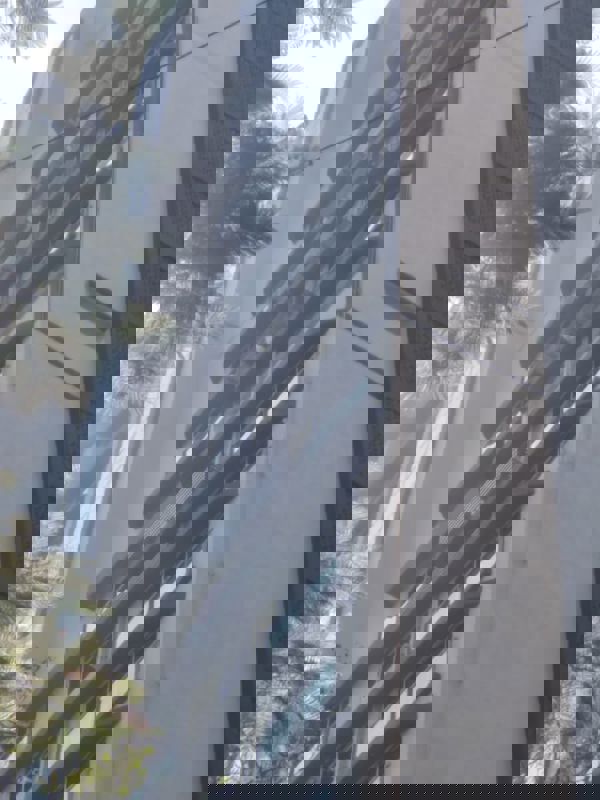 1 BHK + Study Room,Extra Room 470 Sq.Ft. Apartment in Sugee Atharva