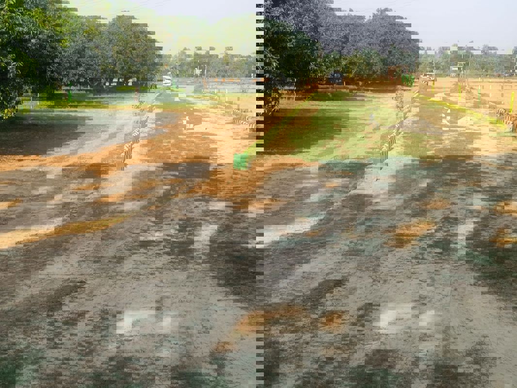 180 Sq.Yd. Plot in Highway Green Orchids